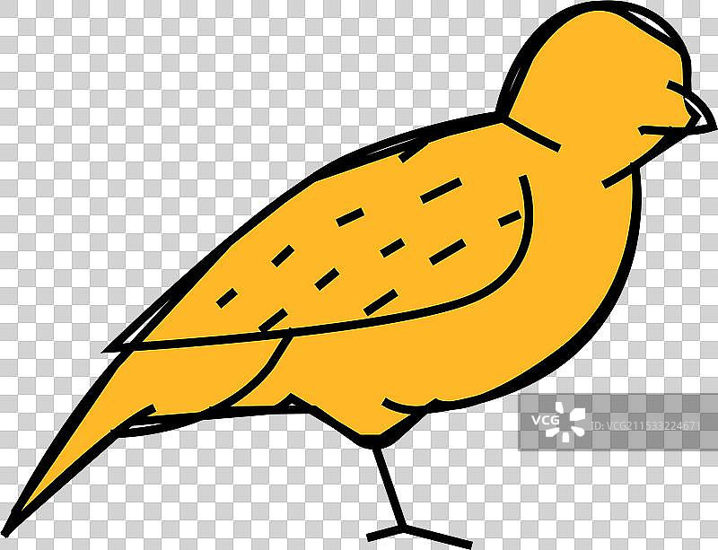 麻雀鸟图标颜色图片素材