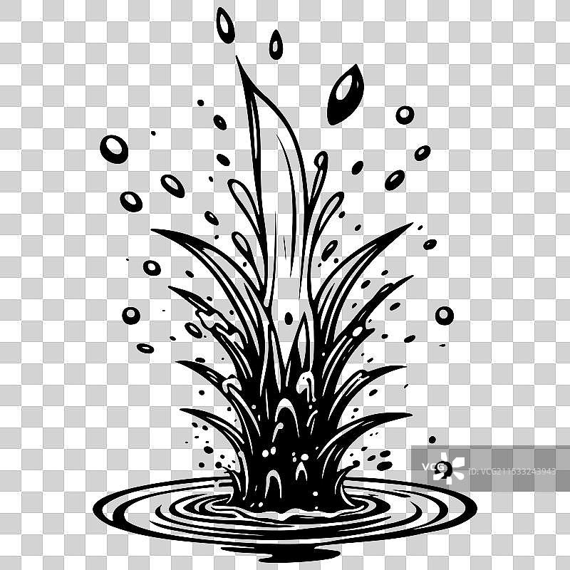 水蜘蛛刺刻手绘线条图片素材