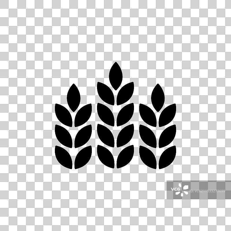 小麦图标集：大麦和全麦谷物图片素材