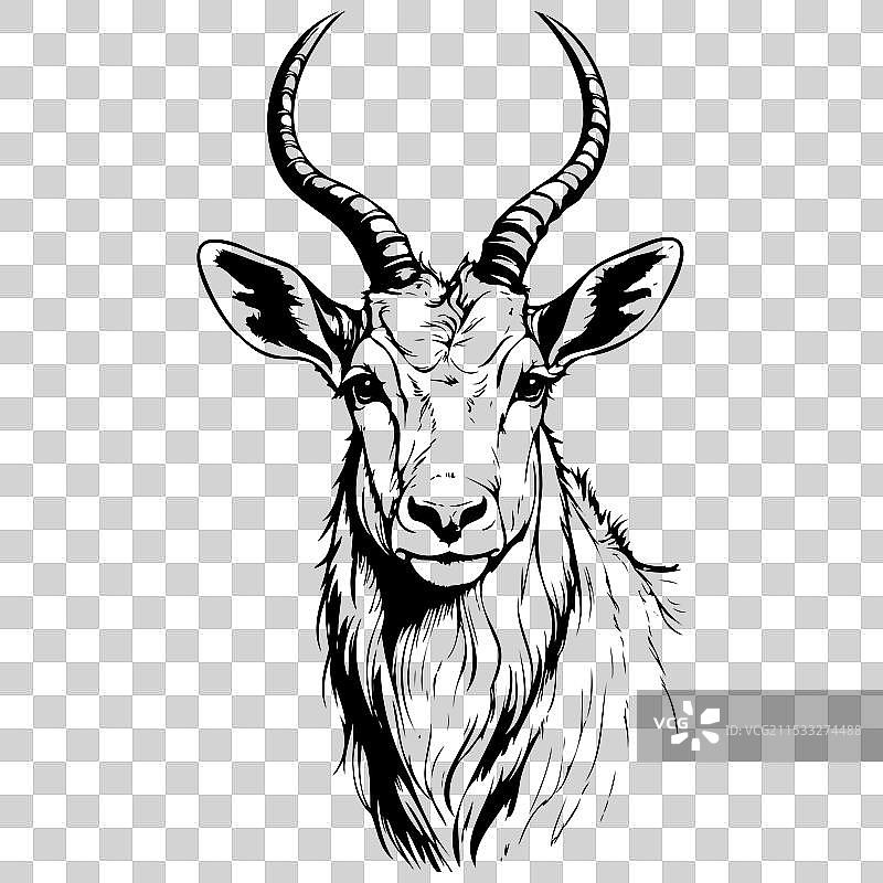 阿达克斯的肖像手绘动物雕刻图片素材