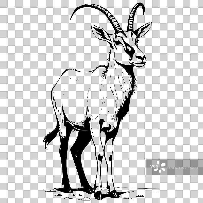 侧面站立的阿达克斯黑色剪影图案图片素材