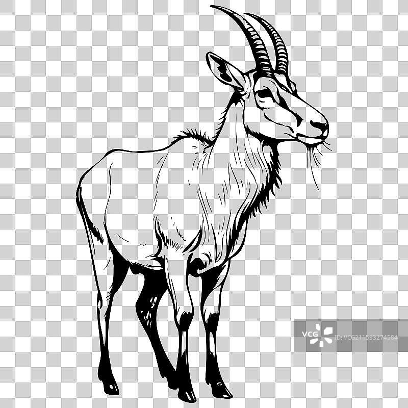 侧身站立的阿达克斯，绘制逼真的手部细节图片素材