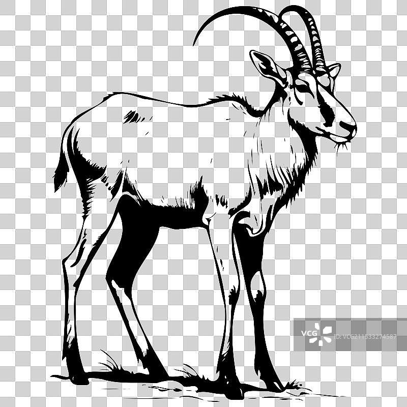 侧面站立的阿达克斯单色轮廓图图片素材