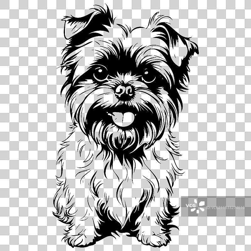 单色手绘的阿芬品犬肖像图片素材