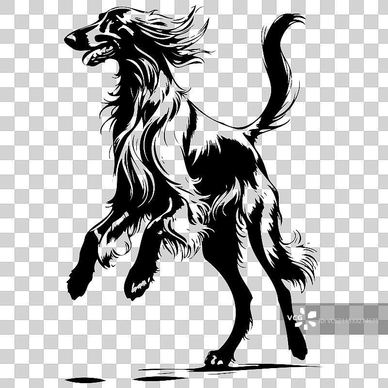 阿富汗猎犬跳跃的黑色剪影画作图片素材