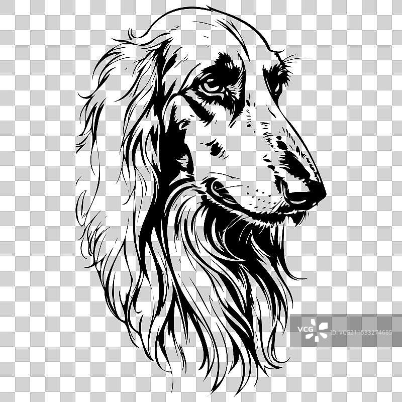 阿富汗猎犬肖像手绘动物图片素材