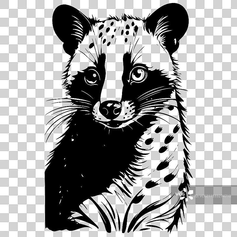 非洲果子狸肖像手绘动物图片素材