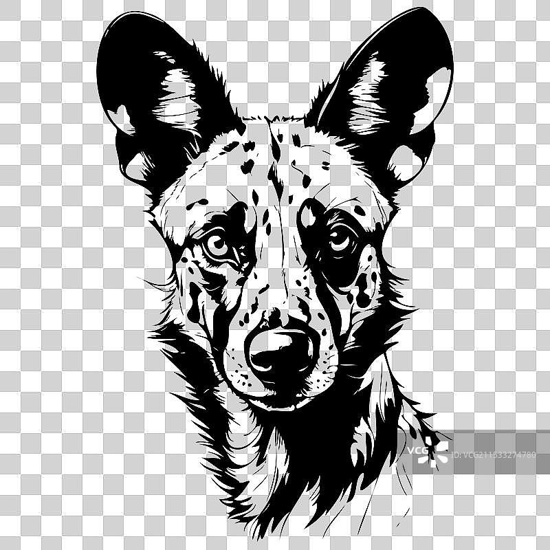 非洲野犬肖像画复古动物图片素材