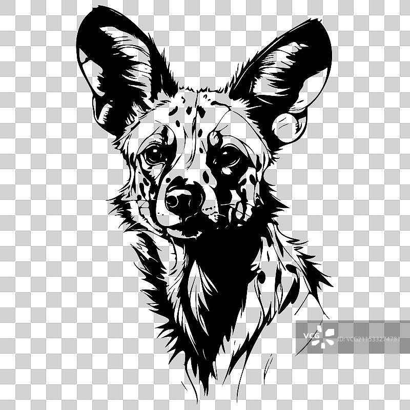 非洲野犬肖像手绘动物图片素材