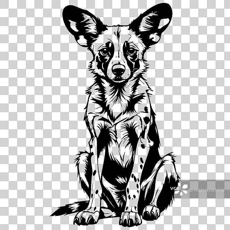 非洲野犬坐姿素描写实动物图片素材