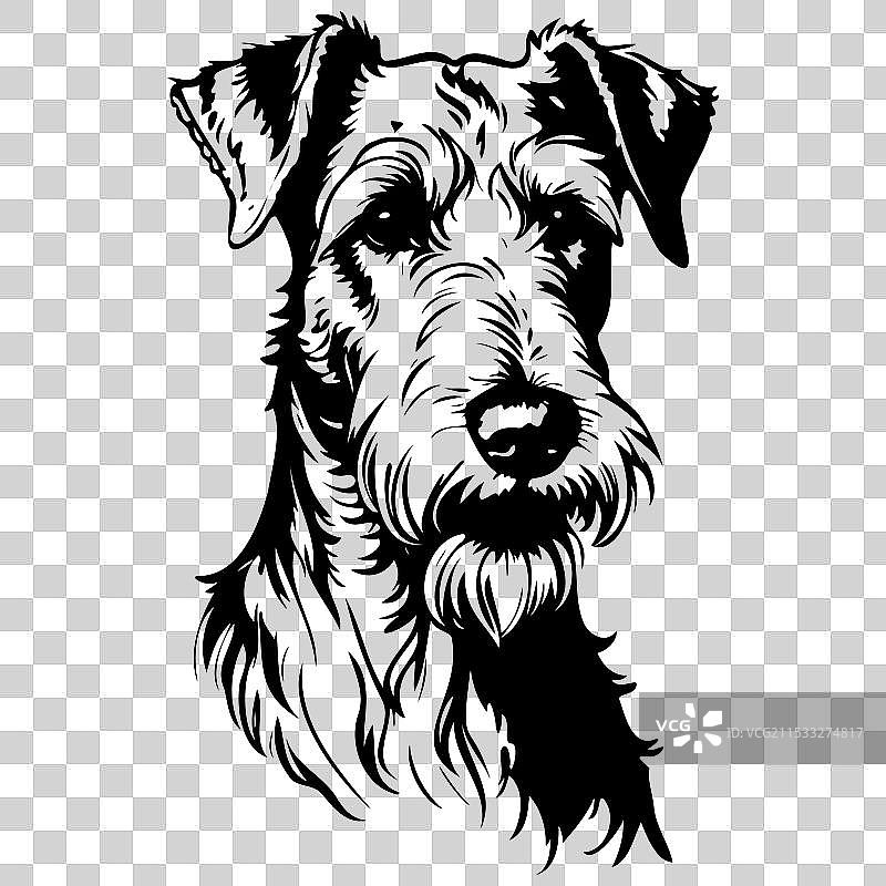 手绘艾尔戴尔犬肖像雕刻图片素材