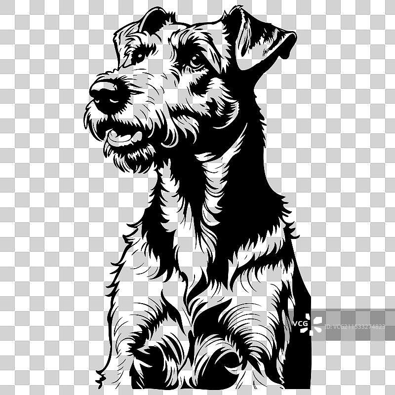 坐着的艾尔戴尔犬动物头部线条画图片素材