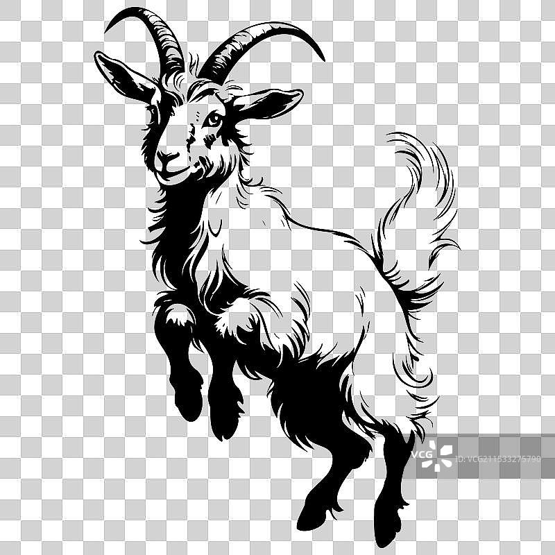 安哥拉山羊跳跃的野生雕刻画图片素材