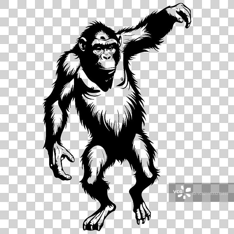 复古动物图像中的猿猴跳跃插图图片素材