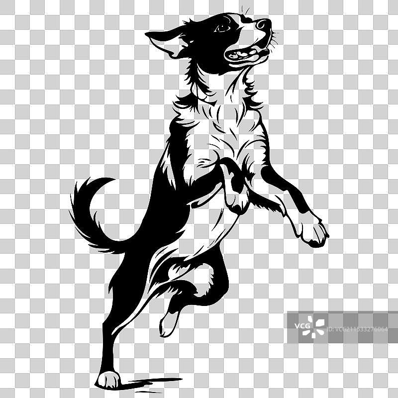 阿彭策尔犬跳跃，手绘动物图像图片素材