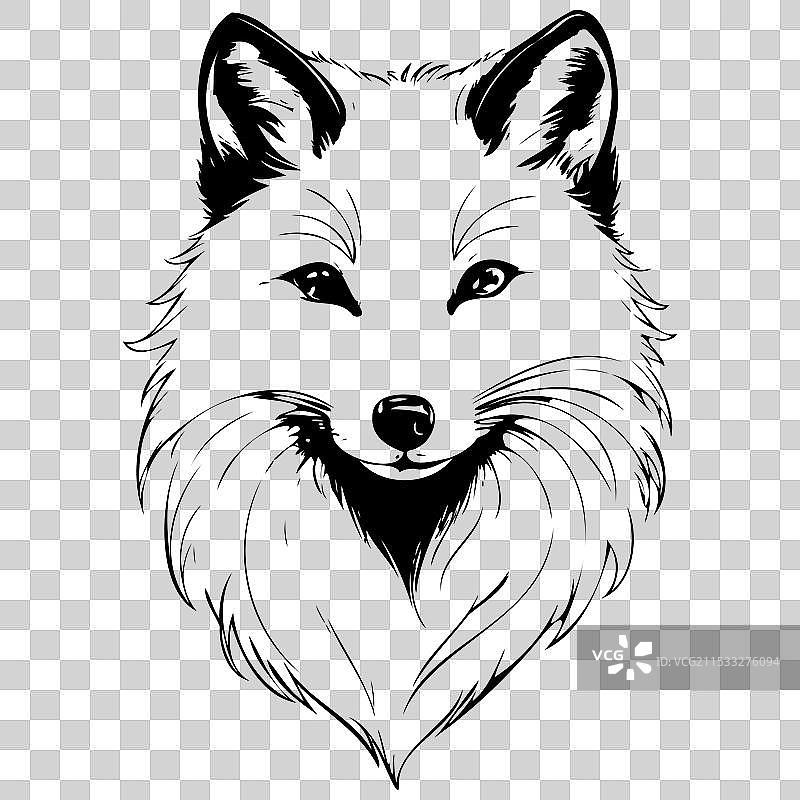 复古动物图像中的北极狐肖像画图片素材