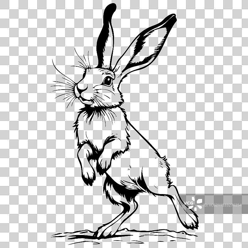 北极兔跳跃的野生雕刻画图片素材
