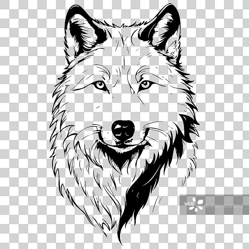 北极狼肖像手绘动物雕刻图片素材