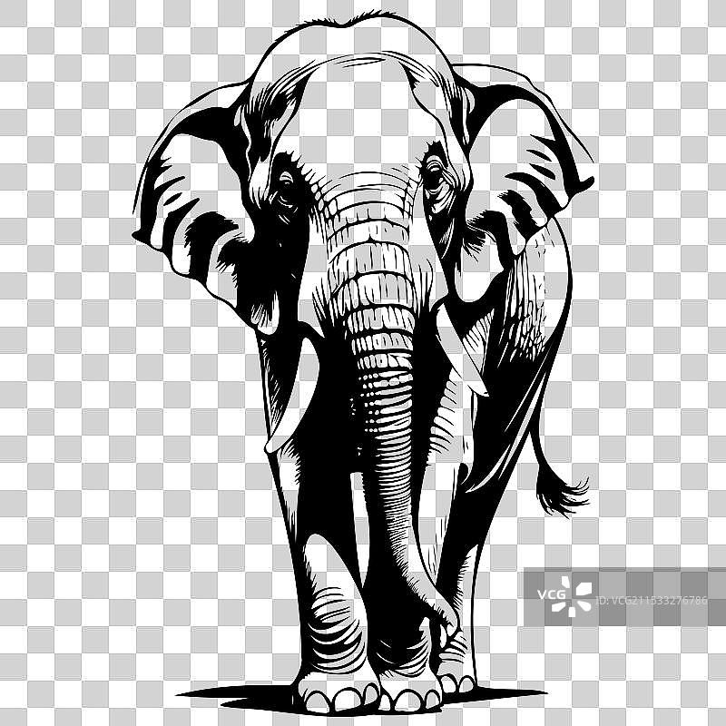 亚洲象肖像 逼真的墨水素描图片素材