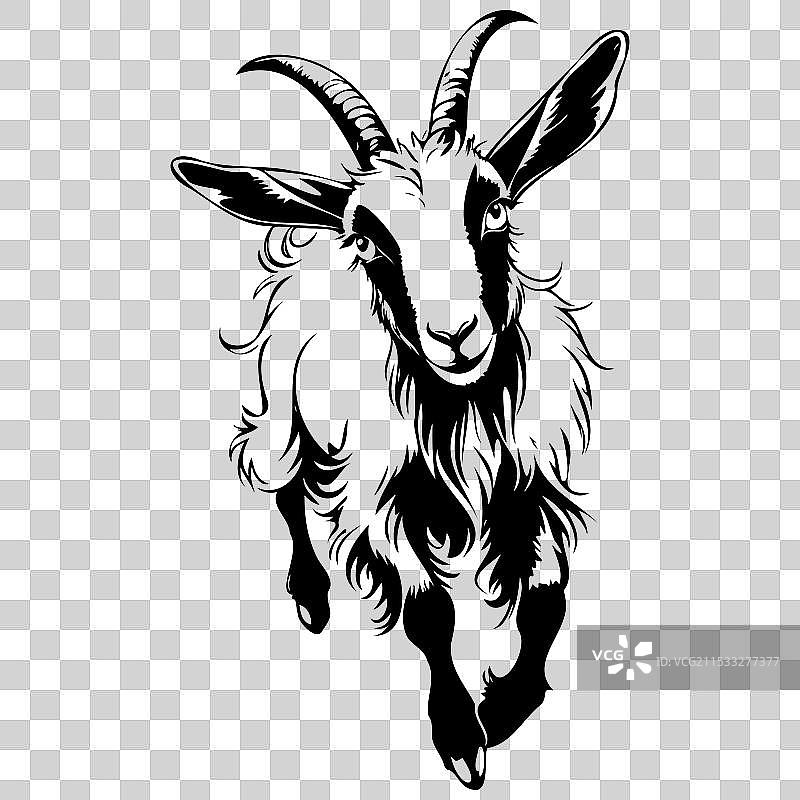 黑色安哥拉山羊跳跃 手绘动物图片素材
