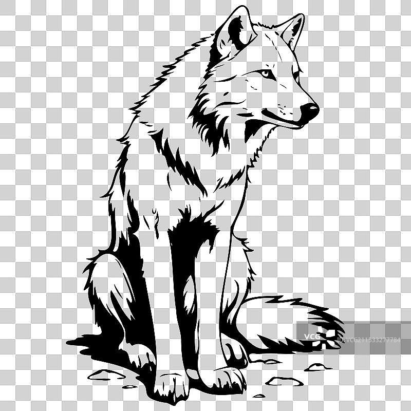 单色手绘的北极狼坐姿图图片素材