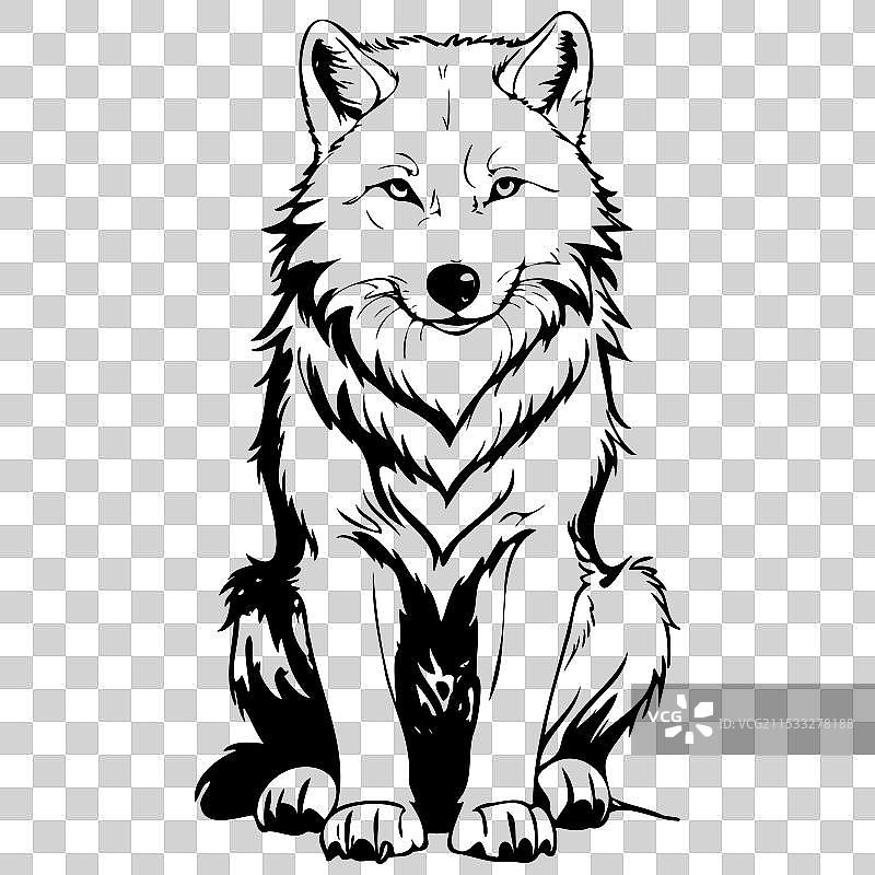 手绘动物：坐着的北极狼墨水画图片素材