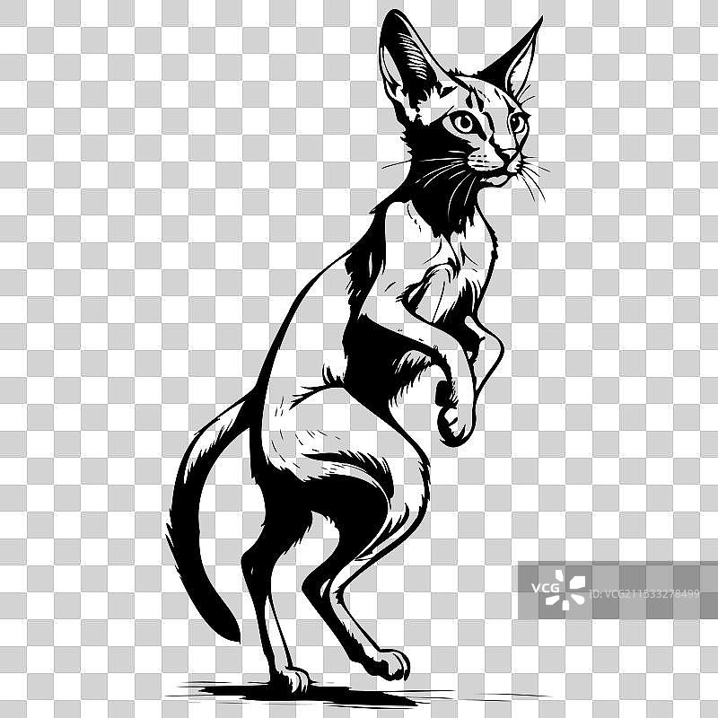 单色阿比西尼亚跳跃素描手绘图片素材