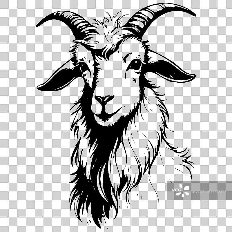 单色安哥拉山羊肖像素描手绘图片素材