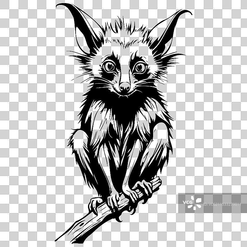 逼真的艾艾猴肖像素描轮廓图片素材