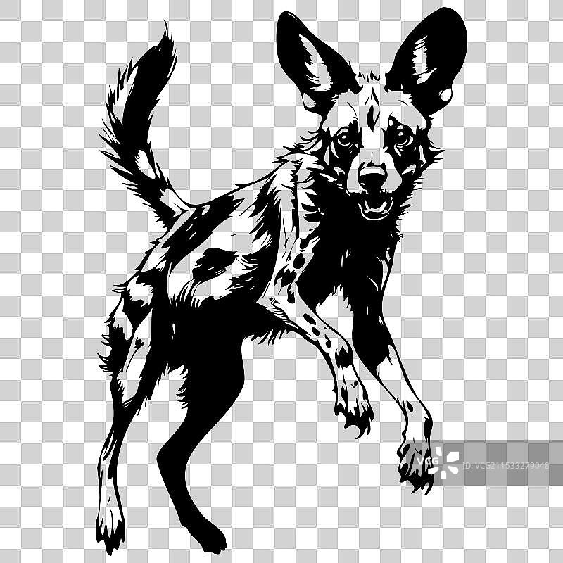 手绘的非洲野犬剪影跳跃图片素材