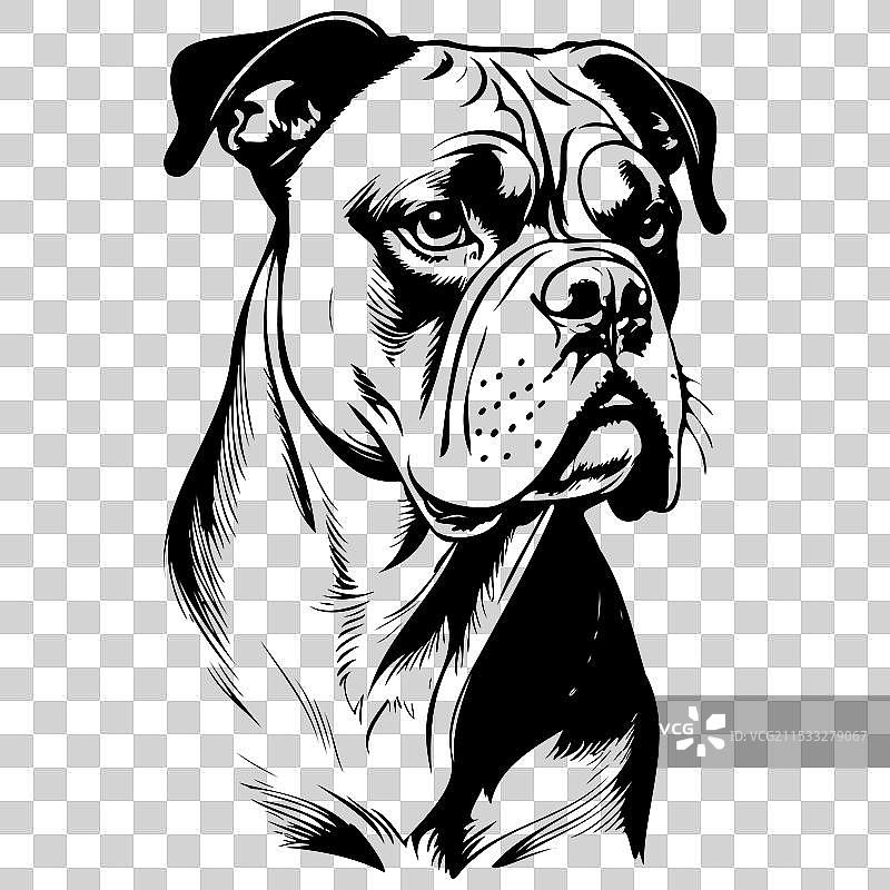 美国斗牛犬的剪影肖像素描图片素材
