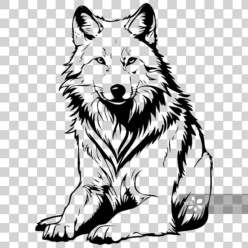 手绘北极狼坐姿素描图片素材