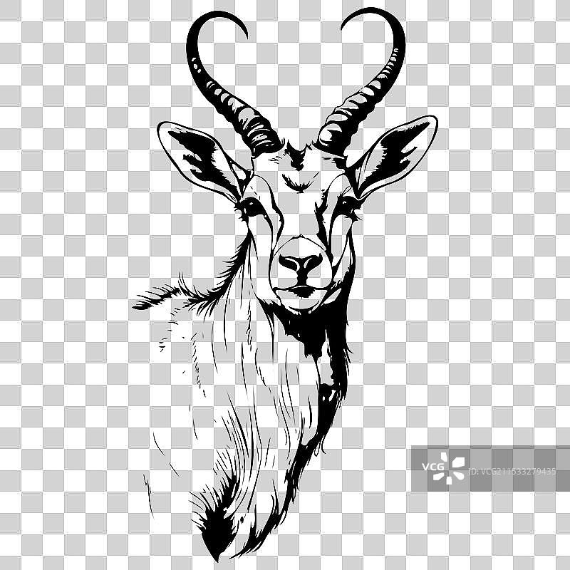 阿达克斯的肖像画，黑色轮廓动物图片素材