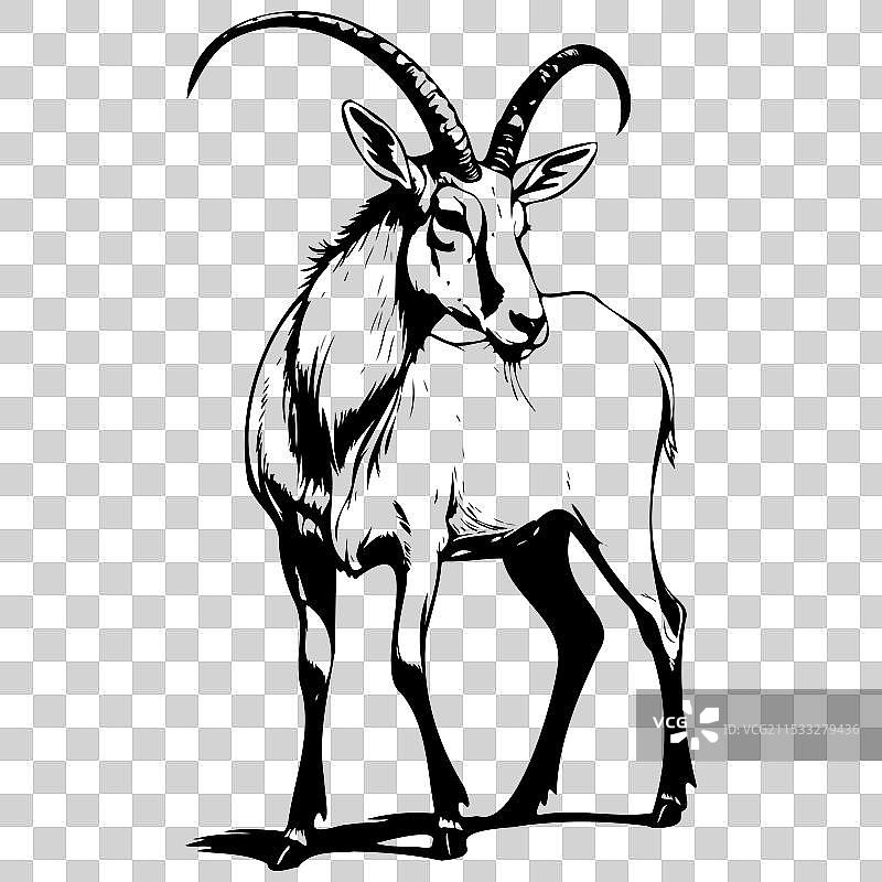 侧身站立的阿达克斯手绘动物图案图片素材