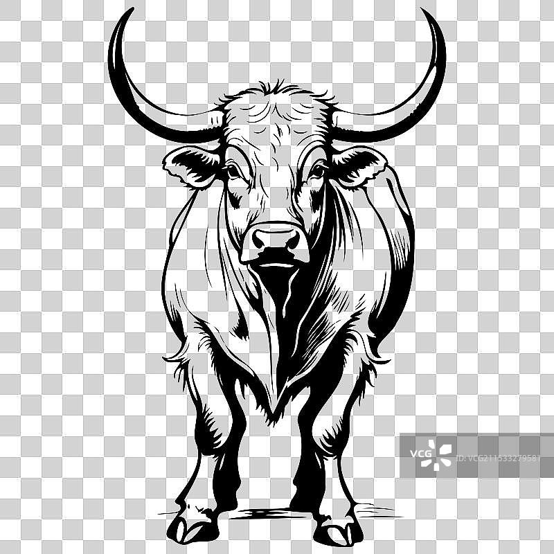 侧面站立的野牛卡通轮廓图图片素材