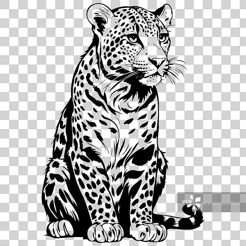 复古的阿穆尔豹坐着，手绘风格图片素材