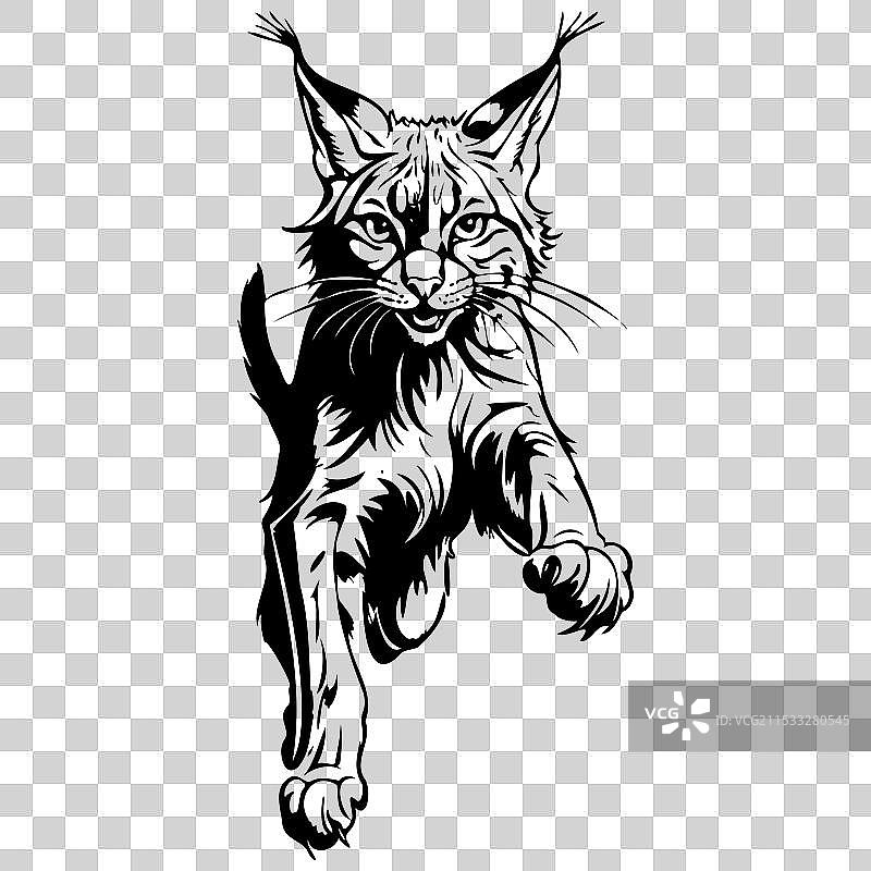 巴尔干猞猁跳跃手绘动物透明图像图片素材