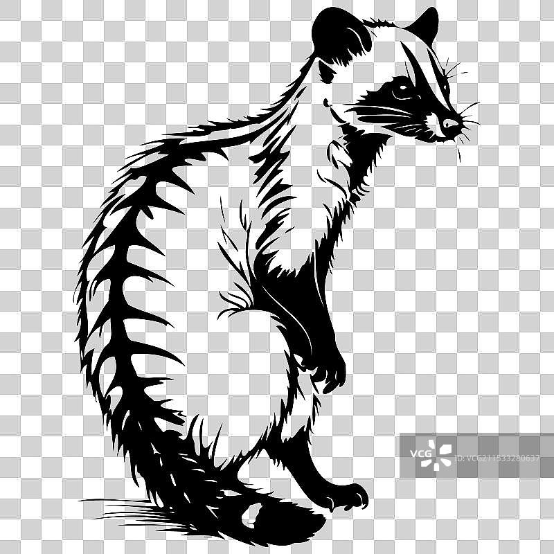 条纹棕榈猫 手绘动物图片素材