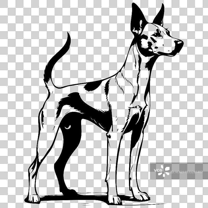 巴森吉犬手绘动物透明图像图片素材