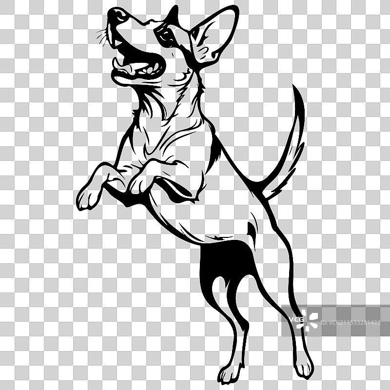 孤立的巴森吉犬跳跃，手绘动物图片素材