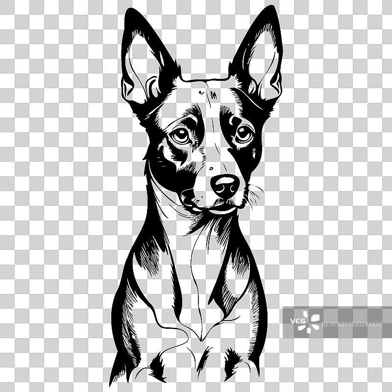 巴森吉犬肖像雕刻画，描绘野生状态图片素材