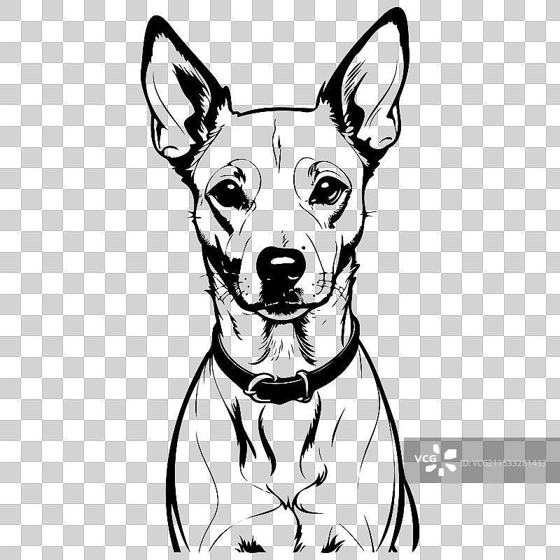 巴森吉犬肖像手绘动物图片素材