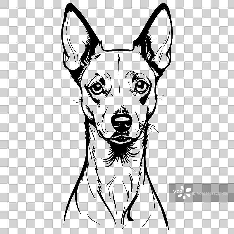 巴森吉犬肖像手绘动物图片素材