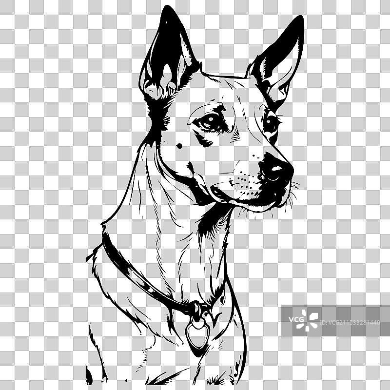 巴森吉犬肖像手绘动物图片素材