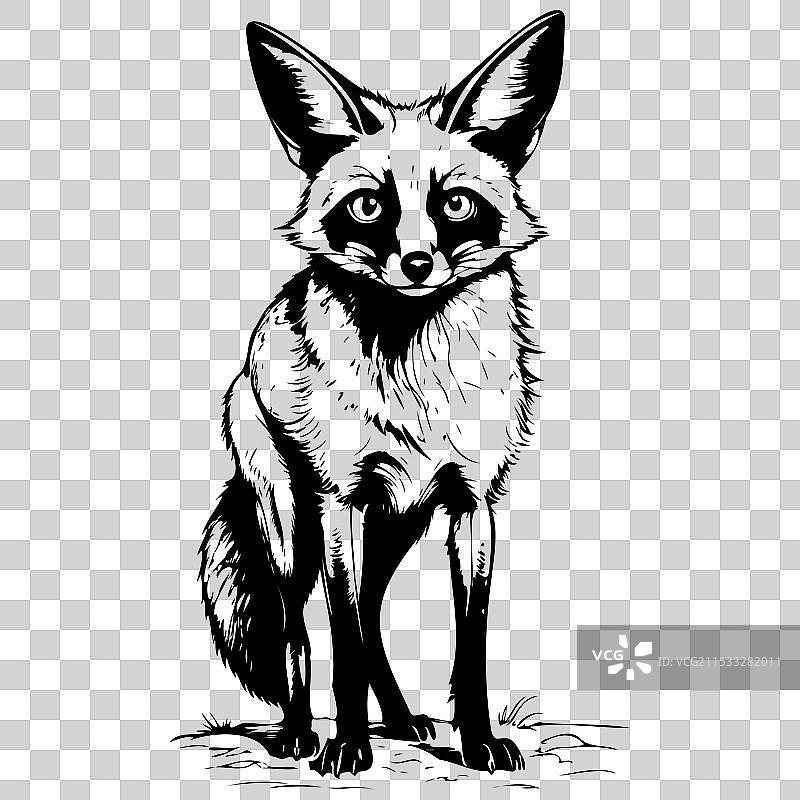 手绘的蝙蝠耳狐动物透明图像图片素材