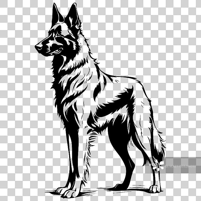 手绘比利时牧羊犬动物透明图像图片素材