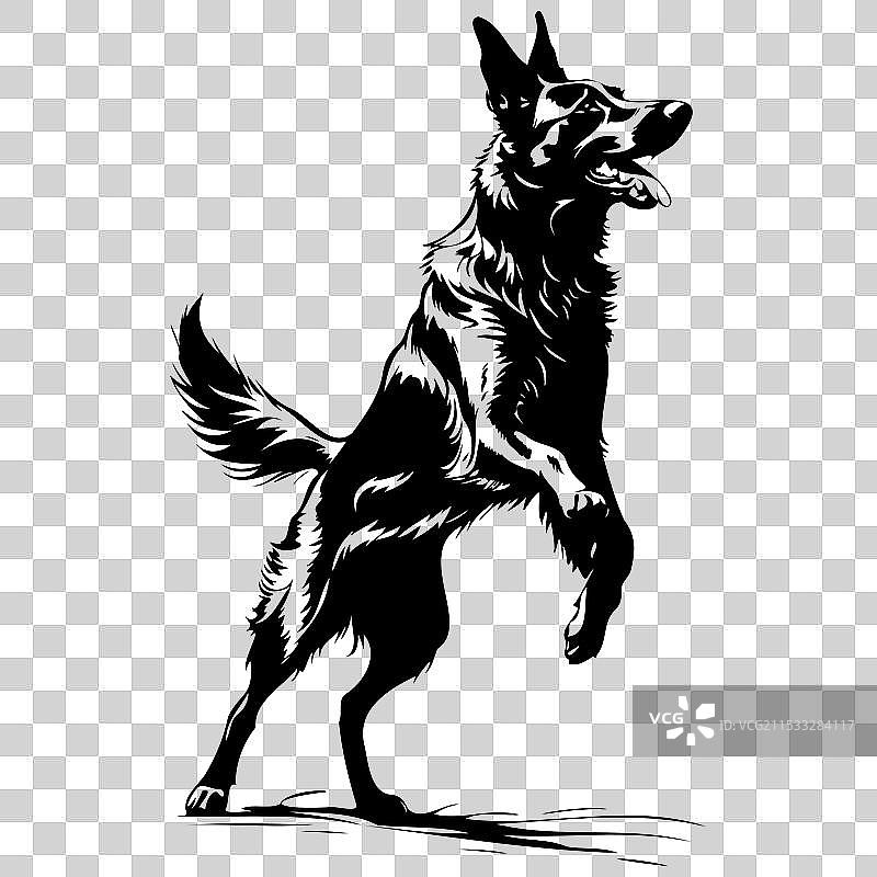 比利时牧羊犬跳跃手绘动物雕刻图片素材