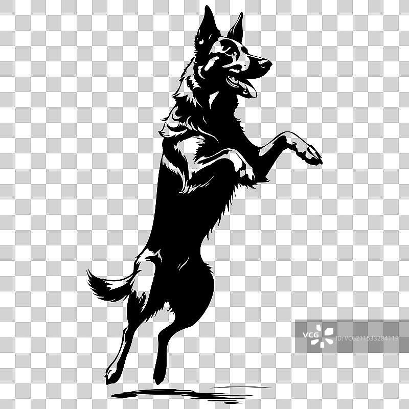 比利时牧羊犬跳跃的手绘动物图片素材