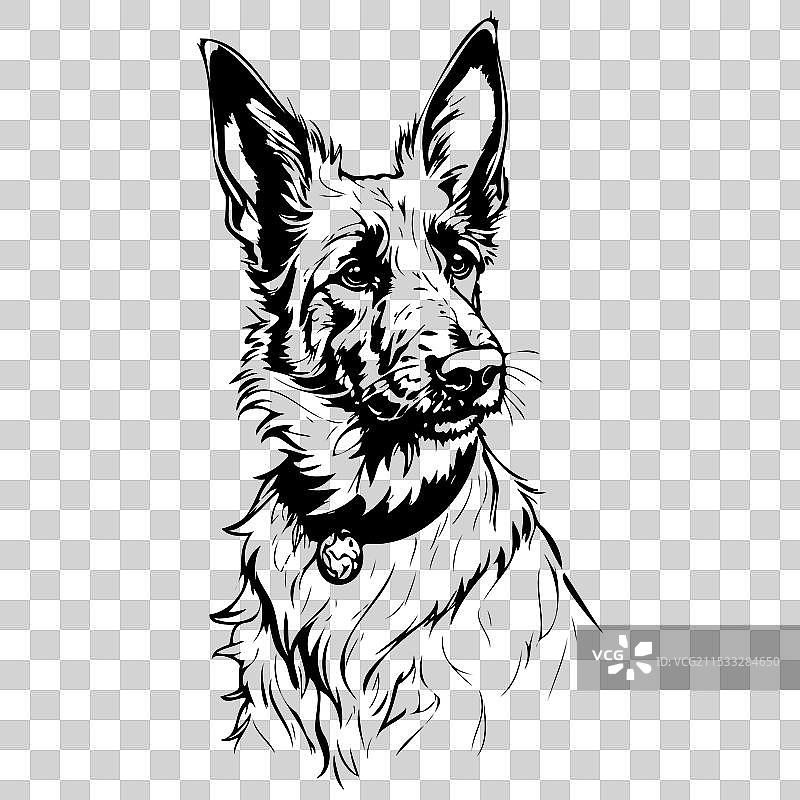 手绘的贝尔热皮卡尔犬肖像剪影图片素材