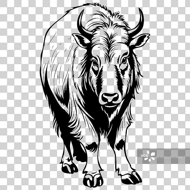 不丹塔金野生动物的雕刻画图片素材